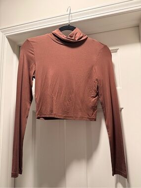 Cropped Long Sleeve Turtleneck Top - Rust
